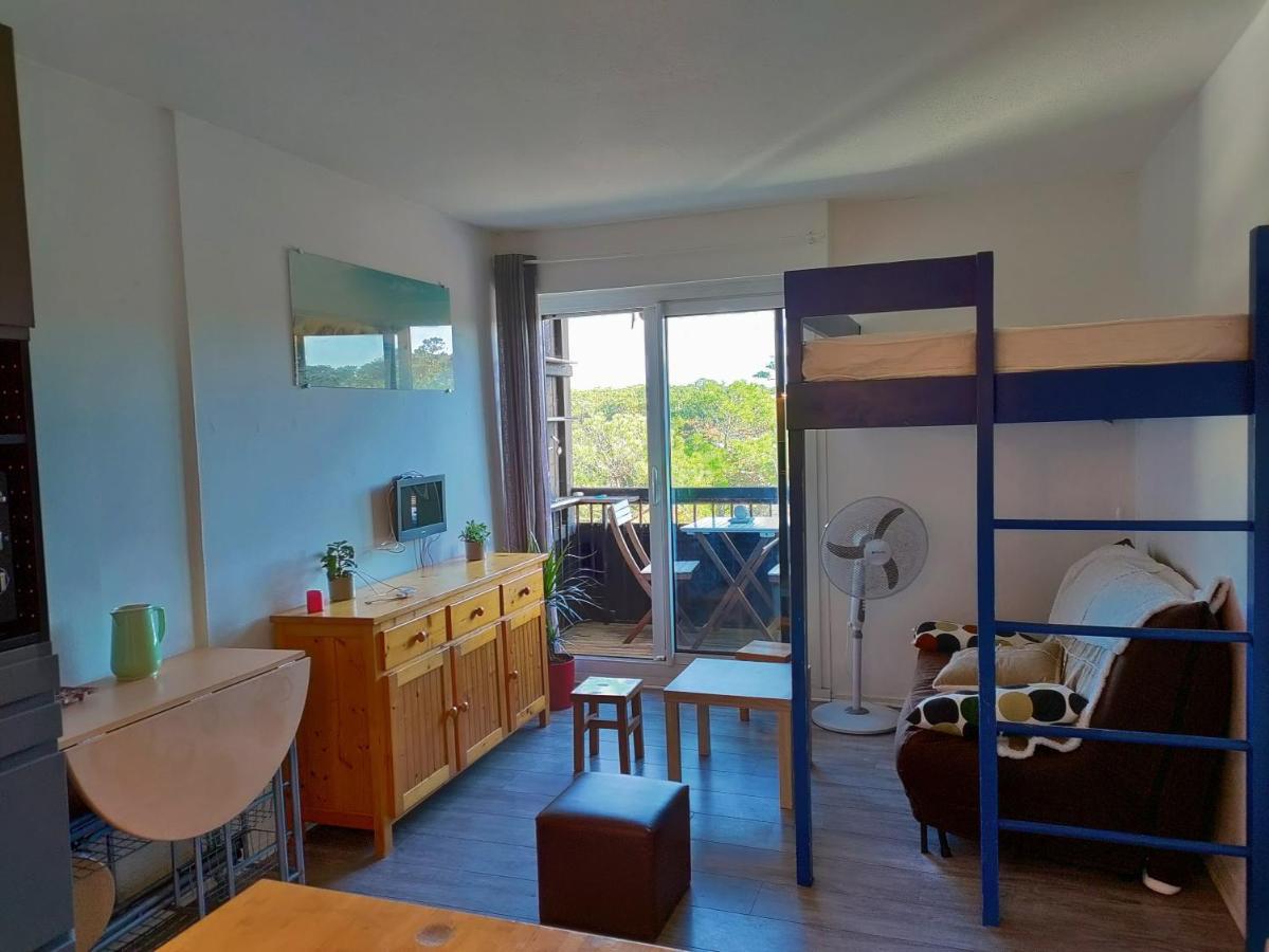 Apartment A L'ocean Au Dessus Des Pins